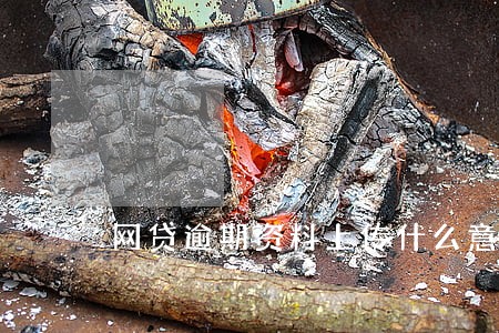 网贷逾期资料上传什么意思 网贷逾期资料上传什么意思