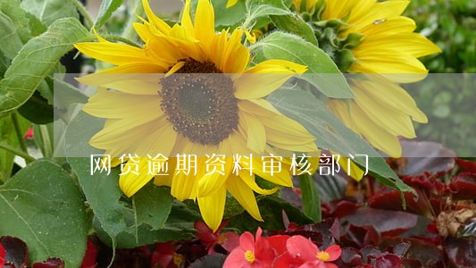 网贷逾期资料审核部门 网贷逾期资料审核部门