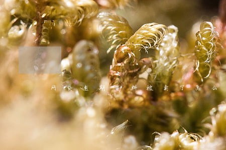 网贷逾期资料被卖了怎么办 网贷逾期资料被卖了怎么办