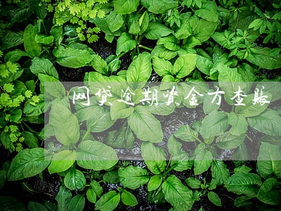 网贷逾期资金方查账 网贷逾期资金方查账