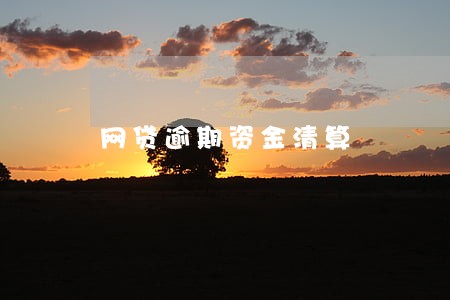 网贷逾期资金清算 网贷逾期资金清算