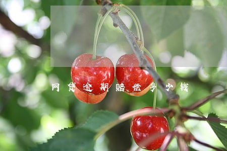 网贷逾期赔偿多少钱 网贷逾期赔偿多少钱