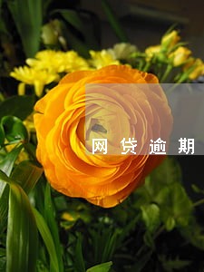 网贷逾期走到司法程序了怎么办 网贷逾期走到司法程序了怎么办