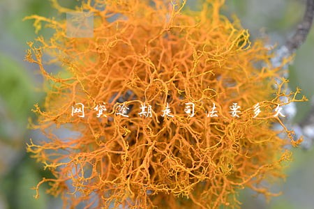 网贷逾期走司法要多久 网贷逾期走司法要多久