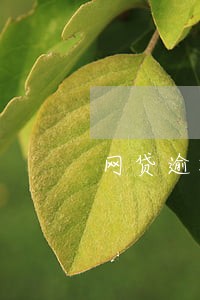 网贷逾期走流程是什么意思 网贷逾期走流程是什么意思