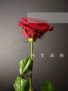 网贷逾期走程序最快多长时间 网贷逾期走程序最快多长时间