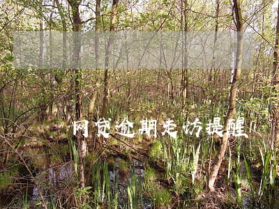 网贷逾期走访提醒