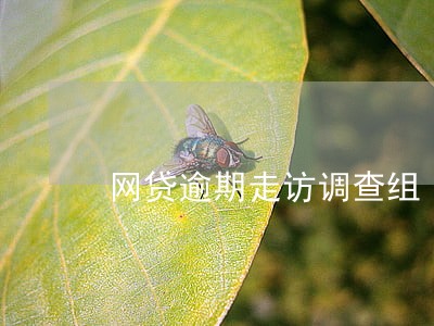 网贷逾期走访调查组 网贷逾期走访调查组