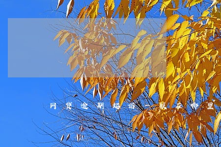 网贷逾期起诉一般在哪里起诉 网贷逾期起诉一般在哪里起诉