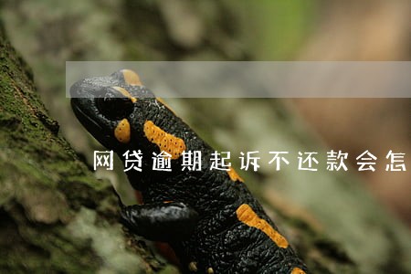 网贷逾期起诉不还款会怎么样