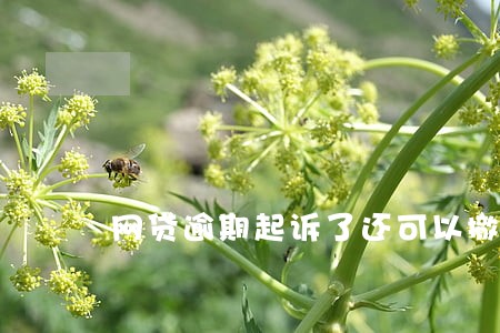 网贷逾期起诉了还可以撤诉吗 网贷逾期起诉了还可以撤诉吗