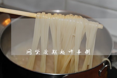 网贷逾期起诉事例 网贷逾期起诉事例