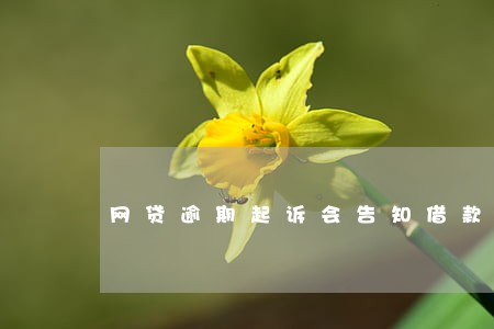 网贷逾期起诉会告知借款人吗 网贷逾期起诉会告知借款人吗