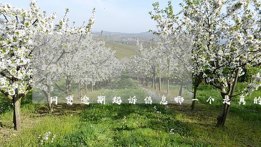 网贷逾期起诉信息哪一个是真的 网贷逾期起诉信息哪一个是真的