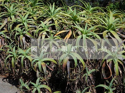 网贷逾期起诉冻结微信吗 网贷逾期起诉冻结微信吗