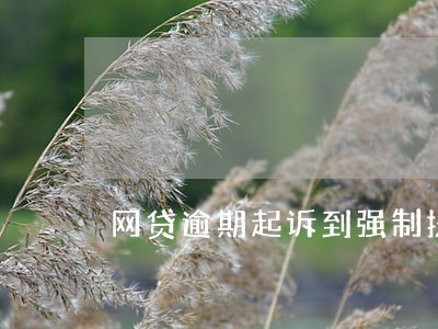 网贷逾期起诉到强制执行流程 网贷逾期起诉到强制执行流程