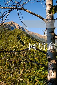 网贷逾期起诉到法院怎么判 网贷逾期起诉到法院怎么判