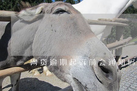 网贷逾期起诉前会通知吗 网贷逾期起诉前会通知吗