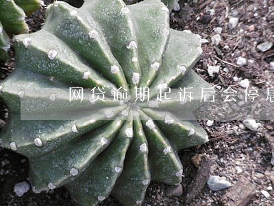 网贷逾期起诉后会停息记账吗 网贷逾期起诉后会停息记账吗