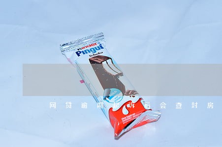 网贷逾期起诉后会查封房子吗 网贷逾期起诉后会查封房子吗