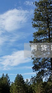 网贷逾期起诉后罚息要还嘛 网贷逾期起诉后罚息要还嘛