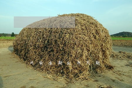 网贷逾期起诉周期 网贷逾期起诉周期