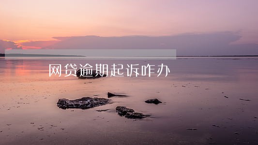 网贷逾期起诉咋办 网贷逾期起诉咋办