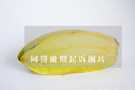 网贷逾期起诉图片 网贷逾期起诉图片