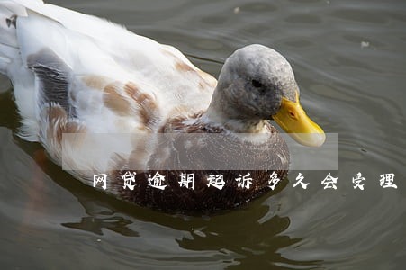 网贷逾期起诉多久会受理 网贷逾期起诉多久会受理