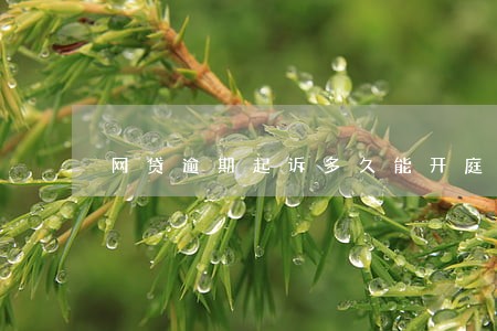 网贷逾期起诉多久能开庭 网贷逾期起诉多久能开庭