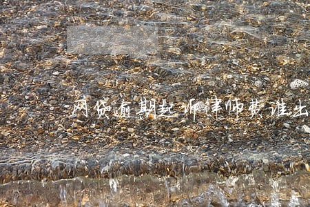 网贷逾期起诉律师费谁出