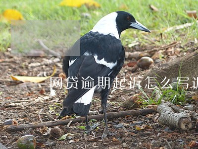 网贷逾期起诉怎么写诉求文案 网贷逾期起诉怎么写诉求文案