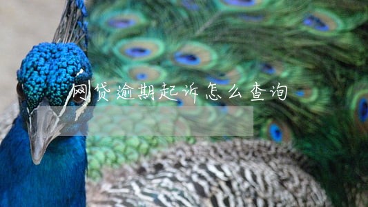 网贷逾期起诉怎么查询 网贷逾期起诉怎么查询