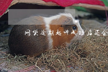 网贷逾期起诉成功后还会怎么样 网贷逾期起诉成功后还会怎么样