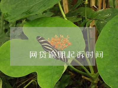 网贷逾期起诉时间 网贷逾期起诉时间