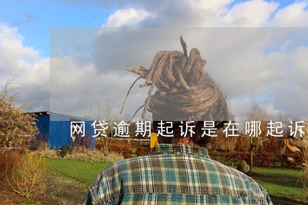 网贷逾期起诉是在哪起诉 网贷逾期起诉是在哪起诉