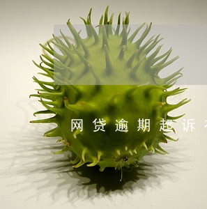 网贷逾期起诉有案底吗