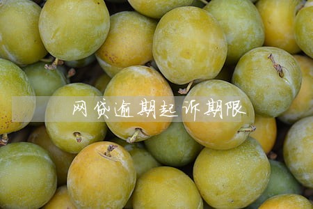 网贷逾期起诉期限 网贷逾期起诉期限