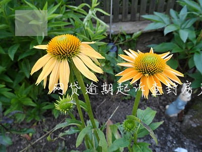 网贷逾期起诉查封房产 网贷逾期起诉查封房产