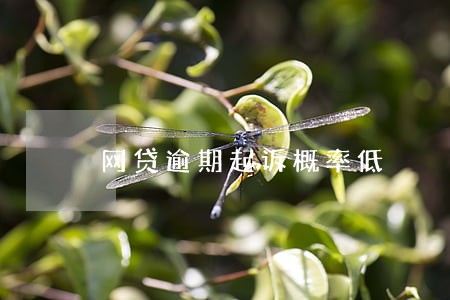 网贷逾期起诉概率低 网贷逾期起诉概率低
