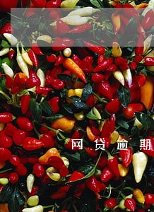 网贷逾期起诉法院会怎样 网贷逾期起诉法院会怎样
