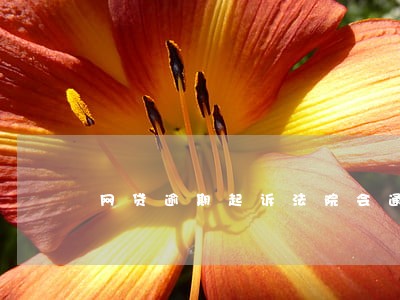 网贷逾期起诉法院会通知么 网贷逾期起诉法院会通知么