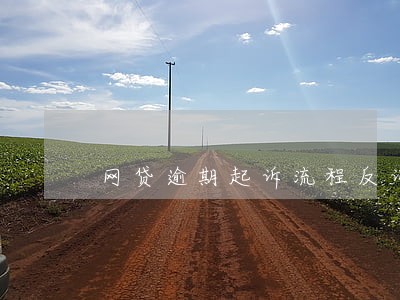网贷逾期起诉流程反诉