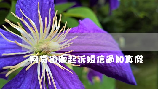 网贷逾期起诉短信通知真假