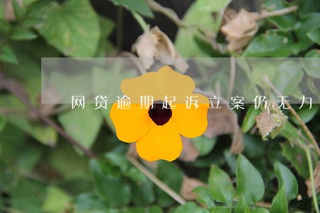 网贷逾期起诉立案仍无力偿还 网贷逾期起诉立案仍无力偿还
