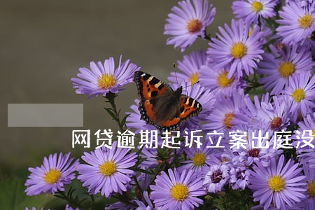 网贷逾期起诉立案出庭没钱还 网贷逾期起诉立案出庭没钱还