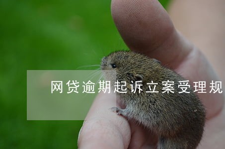 网贷逾期起诉立案受理规定 网贷逾期起诉立案受理规定