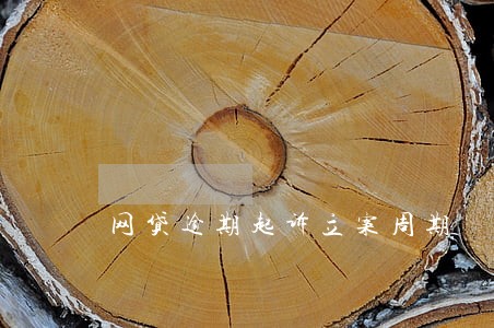 网贷逾期起诉立案周期 网贷逾期起诉立案周期