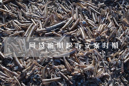 网贷逾期起诉立案时期 网贷逾期起诉立案时期