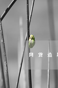 网贷逾期起诉立案是真的吗 网贷逾期起诉立案是真的吗